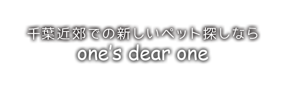 新しい家族との出会い