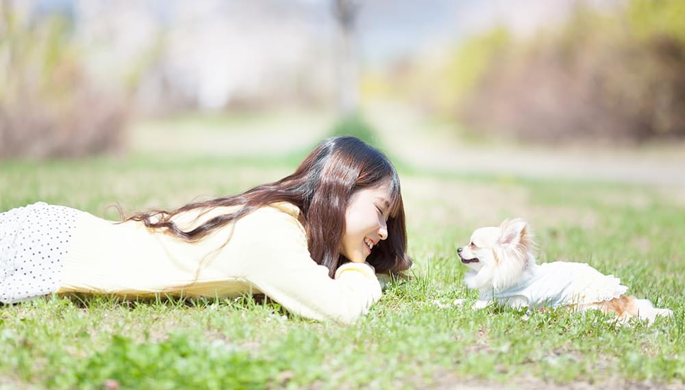 飼い主様と犬