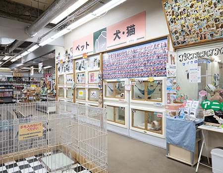 あすみが丘店